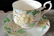 Rare Royal Albert Bone China Flower of the Month Series "Hawthorn" May Cup and Saucer