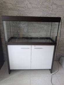 Aquarium