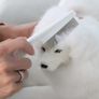 Pet Flea Comb Stainless Steel Pins Image 5