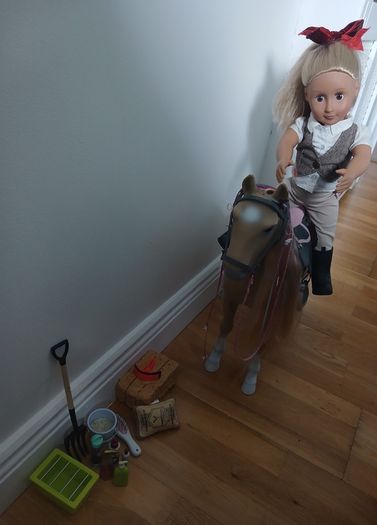 Toy
