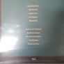 Villagers fever dreams dark green coloured vinyl Image 3