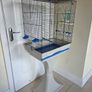 bird setup Image 2