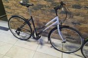 ladies hybrid bike( can deliver)