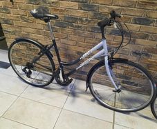 ladies hybrid bike( can deliver)