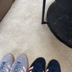 trainers
