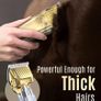 Professional Horse Clippers for All Coat Types Rooming Kit with scissors/steel comb Image 2