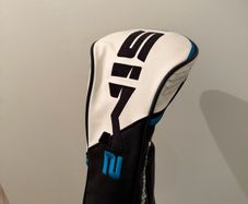 Sim 2 Max Driver