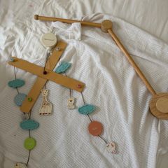 Cot mobile and arm