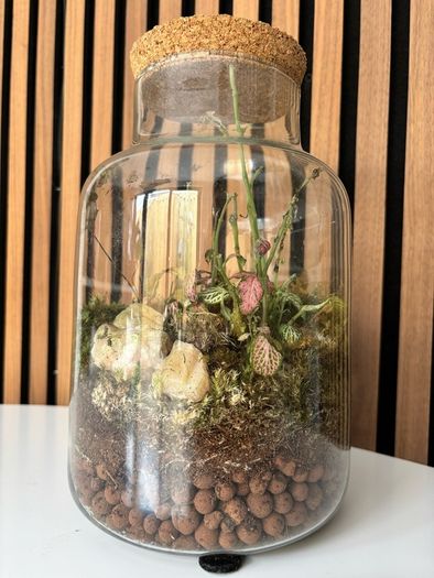 Terrarium - Glass Jar with Cork Lid