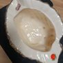 Vintage Ceramic English Image 5
