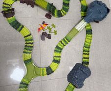 Dinosaur Track