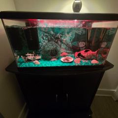 Fish tank