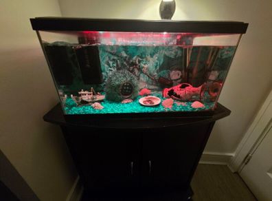 Fish tank