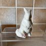 Belleek Rabbit Floral Treasures Collection Image 4