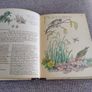 The Country Diary of an Edwardian Lady 1979 by Edith Holden in very good condition with some wear to the dustcover see photos FREE STANDARD POSTAGE INCLUDED Image 8