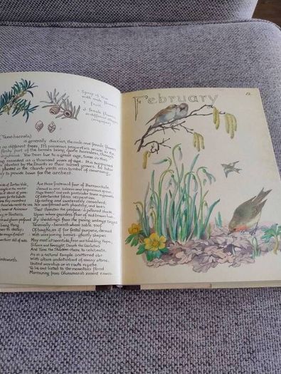 The Country Diary of an Edwardian Lady 1979 by Edith Holden in very good condition with some wear to the dustcover see photos FREE STANDARD POSTAGE INCLUDED