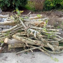 Firewood