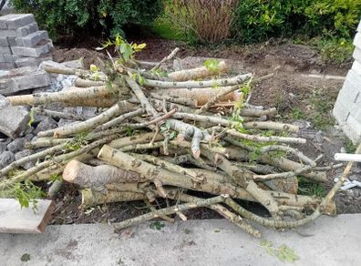 Firewood