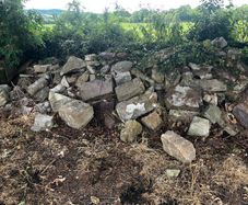 Stone