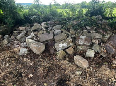 Stone