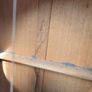 Tanglewood SJ5X Eletro-Acoustic Guitar Image 3