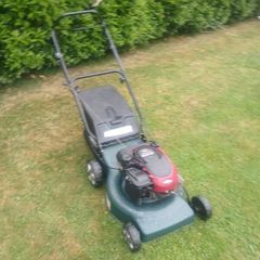 Prolawn Push Lawnmower
