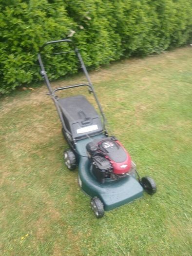 Prolawn Push Lawnmower