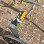 28" road bike Image 8