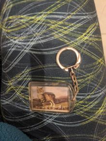 Vintage Isle of Man Tabby cat keyring