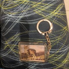 Vintage Isle of Man Tabby cat keyring