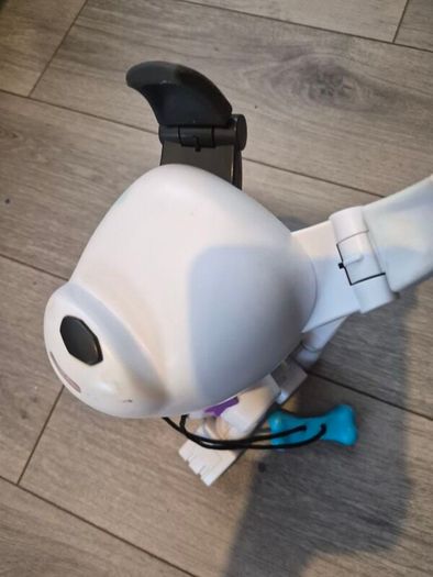 robot dog