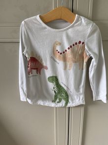 Long sleeve dinosaur top 12-18months