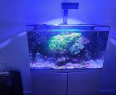 aqua one aquarium