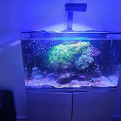 aqua one aquarium