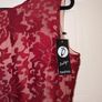 Amazing Embroidered Organza skater dress from Boohoo Boutique Image 4
