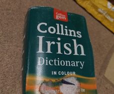 Collins irish dictionary