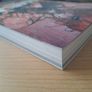 Scarlet Paperback by Michael Bendis Image 4
