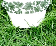 Spode Bowl