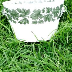 Spode Bowl