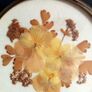 Vintage Dried Pressed Flowers Wall Ornament Image 2