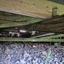 Mobile Home Image 10