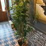 Artificial bamboo plant Image 3