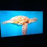 Lg 50" 4k Smart Tv (50um7450pla) Image 3