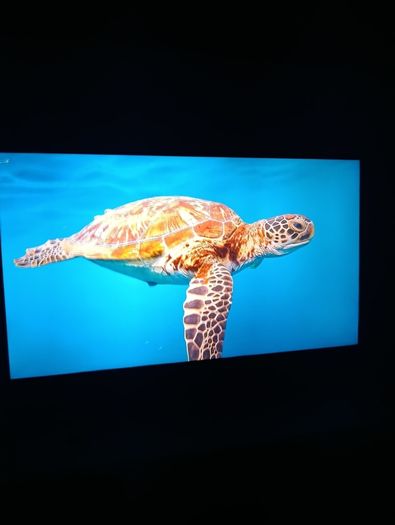 Lg 50" 4k Smart Tv (50um7450pla)