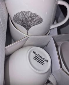 Belleek living x 4cups new