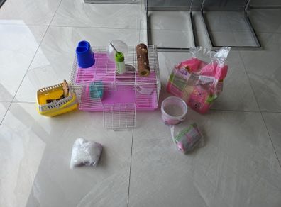 Dwarf Hamster or small animal cage bundle