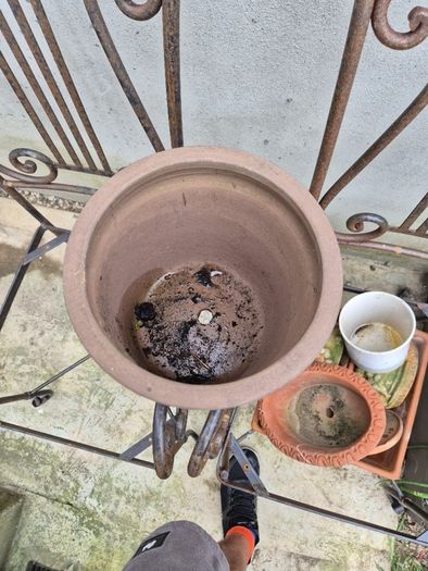 Terracotta pot  garden pot,  Garden decorations vintage old antique succulent plant included flowers pots ignore plants decor statue chair bench free