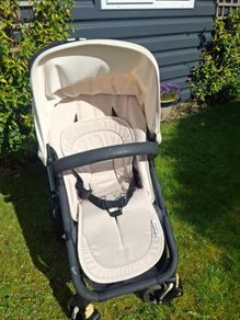 buggy/stroller