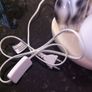 1001 Dalmatians doggie lamp Image 3