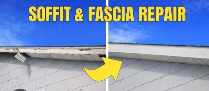 T&m gutter and  garden service